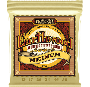 ERNIE BALL 2002 EARTHWOOD 80/20 BRONZE MEDIUM JEU FOLK 13-56