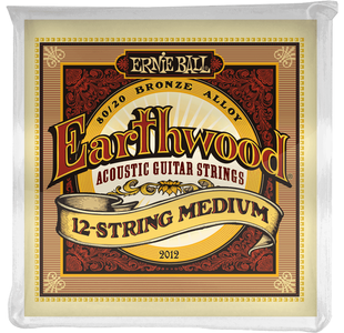 ERNIE BALL 2012 EARTHWOOD MEDIUM JEU 12 CORDES GUITARE FOLK