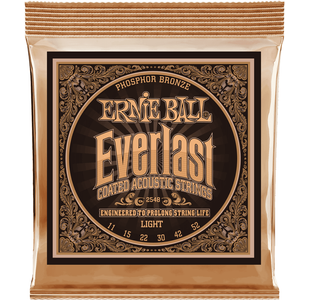ERNIE BALL 2548 EVERLAST COATED PHOPHORE BRONZE LIGHT JEU FOLK 11-52