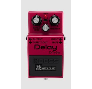 BOSS DM-2W WAZA CRAFT PEDALE BUCKET BRIGADE ANALOG DELAY