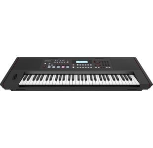 ROLAND E-X50 CLAVIER ARRANGEUR 61 Touches