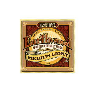 ERNIE BALL 2003 EARTHWOOD MEDIUM LIGHT JEU CORDES GUITARE FOLK 12-54