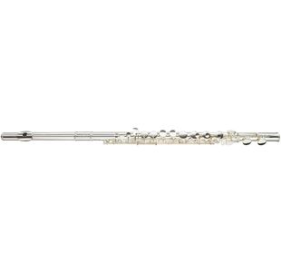 TREVOR JAMES 33223 FLUTE ALTO plaque et noyau argent avec étui