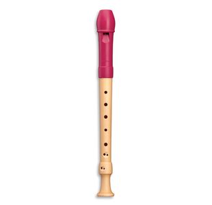 Generic Flute A Bec - Prix pas cher