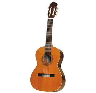 ESTEVE 3Z GUITARE CLASSIQUE - Fond & éclisses Ziricote / Table cèdre