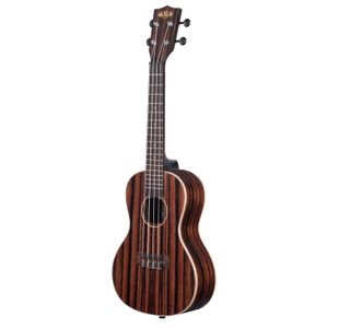 KALA KA-EBY-C "STRIPPED EBONY" UKULELE CONCERT EBENE
