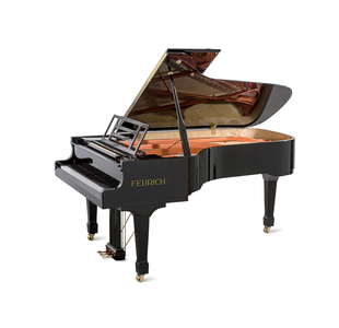 FEURICH 218 CONCERT I PIANO A QUEUE VERNI NOIR