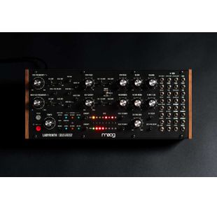 MOOG LABYRINTH PARALLEL GENERATIVE ANALOG SYNTHETISEUR ANALOGIQUE