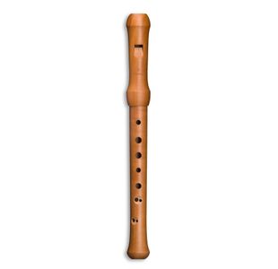 MOLLENHAUER "WALDORF-EDITION" 19132 FLUTE A BEC SOPRANO 432Hz POIRIER