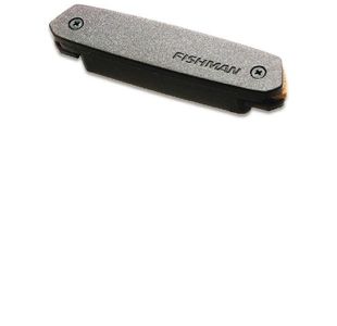 FISHMAN NEO-D02 MICRO ROSACE PASSIF HUMBUCKER