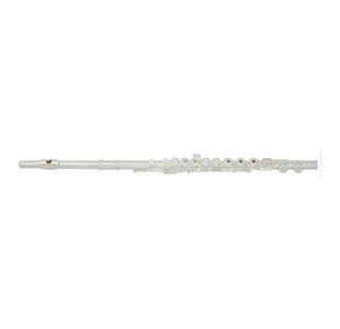 TREVOR JAMES "PRIVILEGE" FLUTE TRAVERSIERE PLAQUE/NOYAU ARGENT