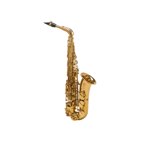SELMER SIGNATURE SAXOPHONE ALTO VERNI GRAVÉ avec étui et bec