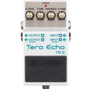 BOSS TE-2 PEDALE TERRA ECHO
