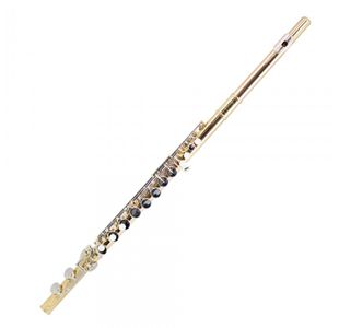 TREVOR JAMES 33233 FLUTE ALTO LAITON plaque et noyau argent avec étui