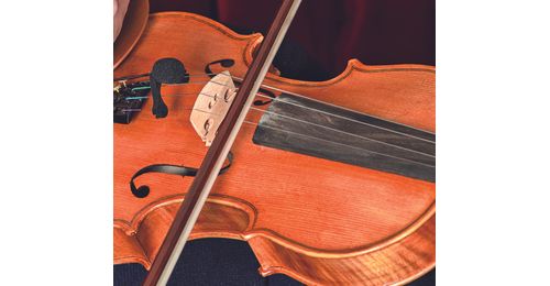 Microfono Para Violin Prodipe Vl 21C Condenser - Intermusica - Tienda de Instrumentos musicales