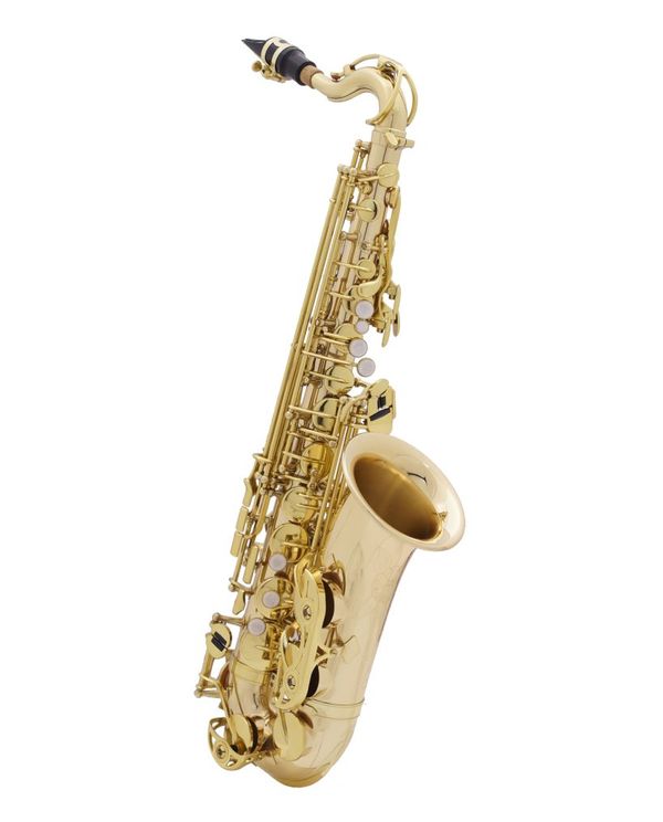 Acheter MTP JUNIOR SERIE II SAXOPHONE ALTO POUR ENFANT - 2 bocaux