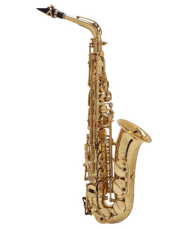 Kit de Saxophone Alto Mi Bémol en Laiton Professionnel pour Enfants Adultes avec Gants Chiffon Brosse Sangle Embout Buccal Graisse Etuit de Rangement Saxophone Alto 